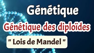 Génétique Chapitre 3 génétique des diploïdes partie1 lois de Mandel [upl. by Eemak]