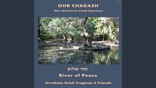 River of Peace feat Shlomo Katz Lev Moshe Leventer Raz Hartman amp Tamar Attias [upl. by Hudgens63]