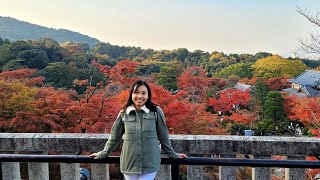 UNESCO world heritage Kiyomizudera with fall foliage amp Sannenzaka street  Kyoto Japan [upl. by Yriek]