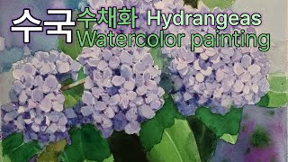 수국  수채화  Hydrangeas  Watercolor painting [upl. by Pauly]