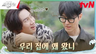 나야 콩콩팥팥 모두를 놀라게 한 깜짝 게스트 삼시세끼Light EP4  tvN 241011 방송 [upl. by Eldrida]