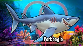 Review Porbeagle Hungry Shark World [upl. by Eceryt631]