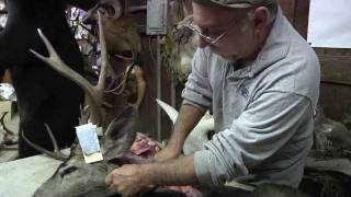 Testas Taxidermy Tips  Neck Meat [upl. by Horwath]