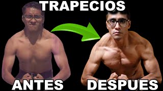 ¿Quieres unos TRAPECIOS más GRANDES y FUERTES Checa los Ejercicios y RUTINA para conseguirlos [upl. by Naltiac72]