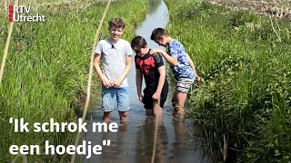 Kinderen vinden oude Duitse kogel in hun sloot  RTV Utrecht [upl. by Mcfadden899]