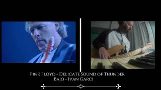 Delicate sound of Thunder  Pink Floyd Ivan Garci bass [upl. by Dlarrej]