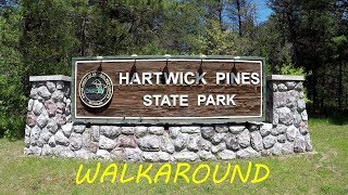 Hartwick Pines State Park Walk Around [upl. by Adiuqal]