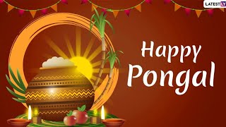 Happy Pongal 2021 whatsapp status tamil  Pongal status tamil  pongal wishes  Pongal status video [upl. by Loutitia]