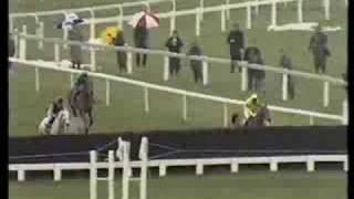 Desert Orchid 1989 Cheltenham Gold Cup [upl. by Shirberg121]