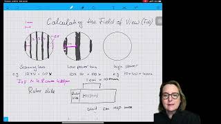 Calculating the Field of View of a Light Microscope [upl. by Baerl845]