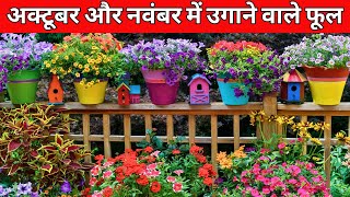 अक्टूबर और नवंबर में उगाने वाले फूल Flowers To Grow In October and November [upl. by Ahsratan]