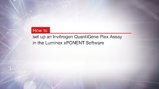 How to set up an Invitrogen™ QuantiGene™ Plex Assay in the Luminex® xPONENT® Software [upl. by Sonya566]