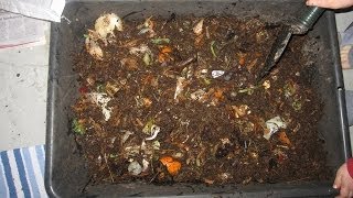 Vermicomposting at Home  Food Waste Optimization [upl. by Hoenack330]