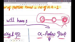 3rd lecture introduction to Biochemistry [upl. by Ninazan]