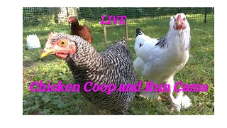 Chicken Coop Cam Live [upl. by Inigo]