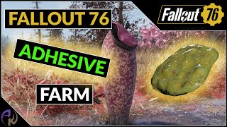 Fallout 76 Adhesive Farm  Digested Goo Routes [upl. by Cissie]