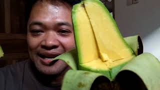 ASMRDELICIOUS AVOCADO EAT  MAKAN ALPUKAT TERLEZAT [upl. by Tterab45]