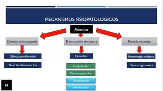 Síndrome anémico ¿Muchas causas de anemia  Medilogía [upl. by Yuh56]