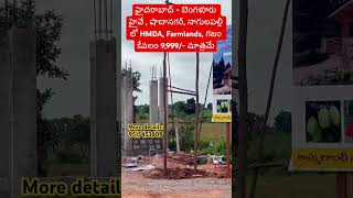 HMDA Farmlands For Sale in Hyderabad  Shadnagar Farmlands  realestate [upl. by Kos]