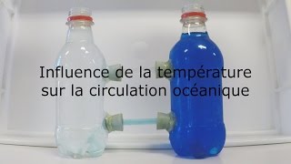 Influence de la température sur la circulation océanique [upl. by Junieta26]