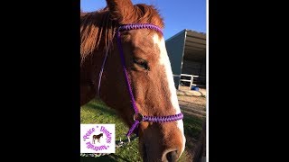 How to make a bitless bridle with paracord [upl. by Alcina]