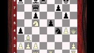 Sicilian Dragon Grandmaster Game Sergey Karjakin vs Van Wely  Tata Steel 2013 Chessworldnet [upl. by Yerhcaz768]