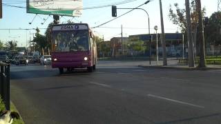 Marcopolo Torino G6  Mercedes Benz  STP Santiago Zona F [upl. by Nedarb]