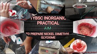 tybsc to prepare nickel dimethylglyoxime inorganic chemistry practical [upl. by Urson]