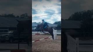 Ba baba bada❤️❤️ blowup showjumping equestrian appaloosa hearthorse [upl. by Boy431]