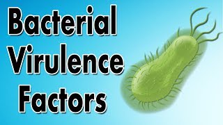 Bacterial Virulence Factors [upl. by Acisey]