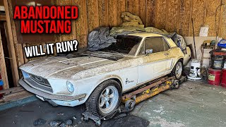 First Wash in 18 Years ABANDONED Ford Mustang  Will It Run [upl. by Rodrich]