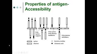 Immunology Lecture Series 27 Properties of antigens and Haptens [upl. by Luanne666]