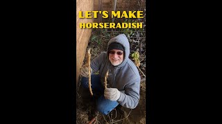 How to make Homemade Prepared Horseradish Shorts [upl. by Nyrat]