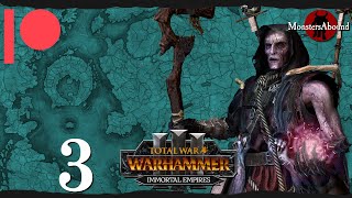 Total War Warhammer 3 Immortal Empires  Caravan of Blue Roses Helman Ghorst 3 [upl. by Aitnwahs]