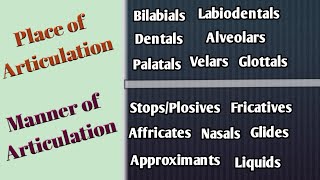 Place and Manner of Articulation in UrduHindi Articulatory Phonetics Speech Organs Speech Sounds [upl. by Innavoeg997]