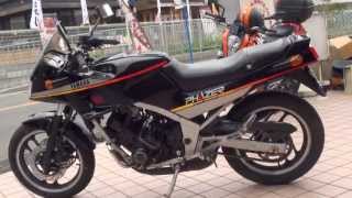 1HX ヤマハ・FZ250フェーザー PHAZER yamaha [upl. by Sharity]