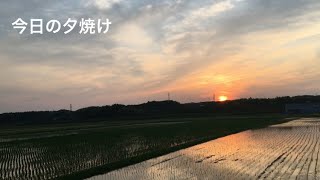 【家計簿】2024年6月11日 今日の夕焼けいとこと最後のお別れをしたあとの夕焼け。今日まではしっかり悲しんで、明日からまた頑張ろう。 [upl. by Jany]