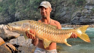 Fishing in Nepal river  record Golden Mahseer 138cm  big fish caught [upl. by Nakasuji112]