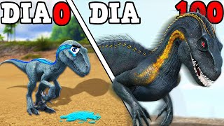 A HISTORIA DO PEQUENO DINOSSAURO INDORAPTOR EVOLUIMOS PARA UM MONSTRO HIBRIDO 100 DIAS ARK [upl. by Janith985]