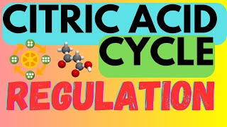 Biochemistry Help Regulation of the Citric Acid Cycle  Krebs Cycle  TCA Cycle [upl. by Philbo]