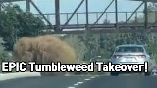 Massive tumbleweed rolls across California highway [upl. by Wally213]