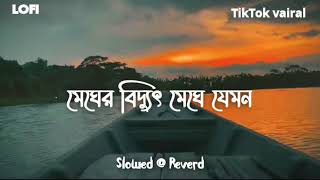 মেঘের বিদ্যুৎ মেঘে  Megher Biddut Meghe  Full Bangla Lofi Song  Slowed  Reverb  Relax Mind [upl. by Mourant]