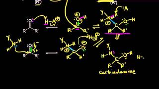 Formation of imines and enamines  Aldehydes and ketones  Organic chemistry  Khan Academy [upl. by Immac]