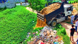 New Project  Landfill up in Flooded areas Bulldozer D20A amp Truck 5T Pushing Soil Into water [upl. by Aile123]