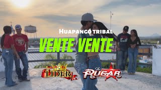 Huapango Tribal Vente Vente [upl. by Ahseinaj906]