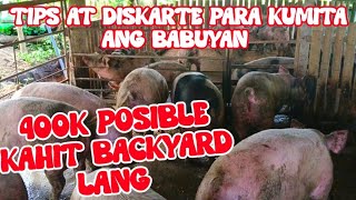 400K KAHIT BACKYARD BABUYAN LANG  TIPS PAANO MAGING PROFITABLE ANG PIGGERY BUSINESS [upl. by Linden840]