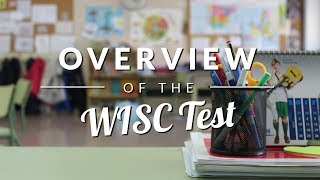 WISC Test Overview  TestingMomcom [upl. by Young]