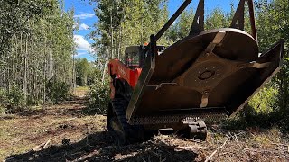 Brush Cutting  Prince George and Quesnel [upl. by Anialad]