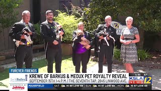 Krewe of Barkus amp Meoux pet royalty reveal [upl. by Nnahtur372]