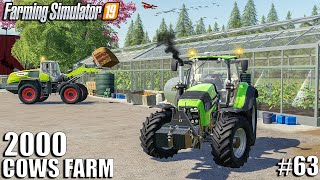 Building GREENHOUSES and planting CLOVER  2000 Cows Farm  Farming Simulator 19  Episode 63 [upl. by Philpot391]